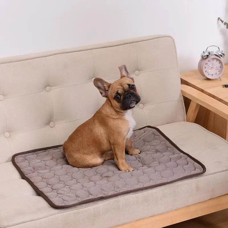 Kühlmatte für Hunde & Katzen – Atmungsaktiv, selbstkühlend, faltbar