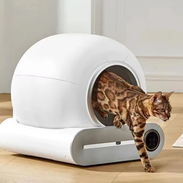 Smarte Katzentoilette – Vollautomatisch mit App-Steuerung