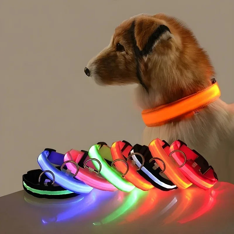 LED Hundehalsband Nylon – Blinkend, Nachtsicher, Wasserdicht